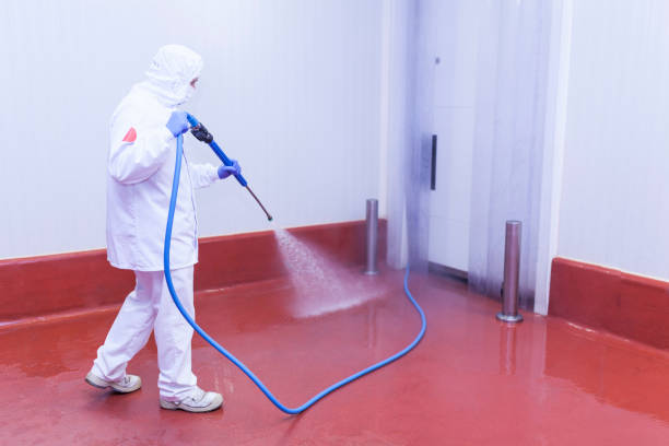 Trusted Wesley Chapel, FL Pressure Washing Services Experts