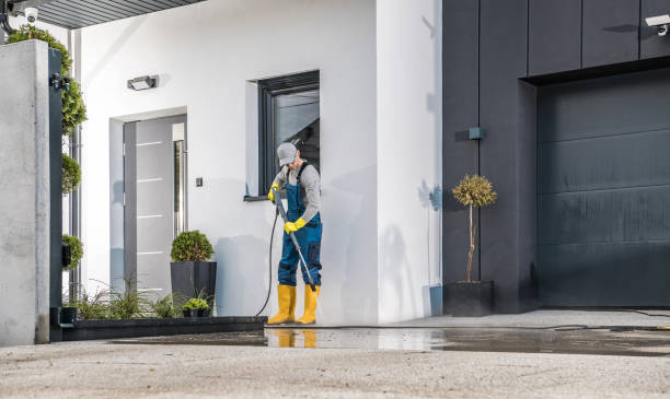 Best Dumpster Area Cleaning  in Wesley Chapel, FL